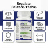 Rehmannia Golden Thread Complex - Natural Metabolic Wellness Supplement - Traditional Herbal Formula for Daily Metabolic Support & Overall Wellness
