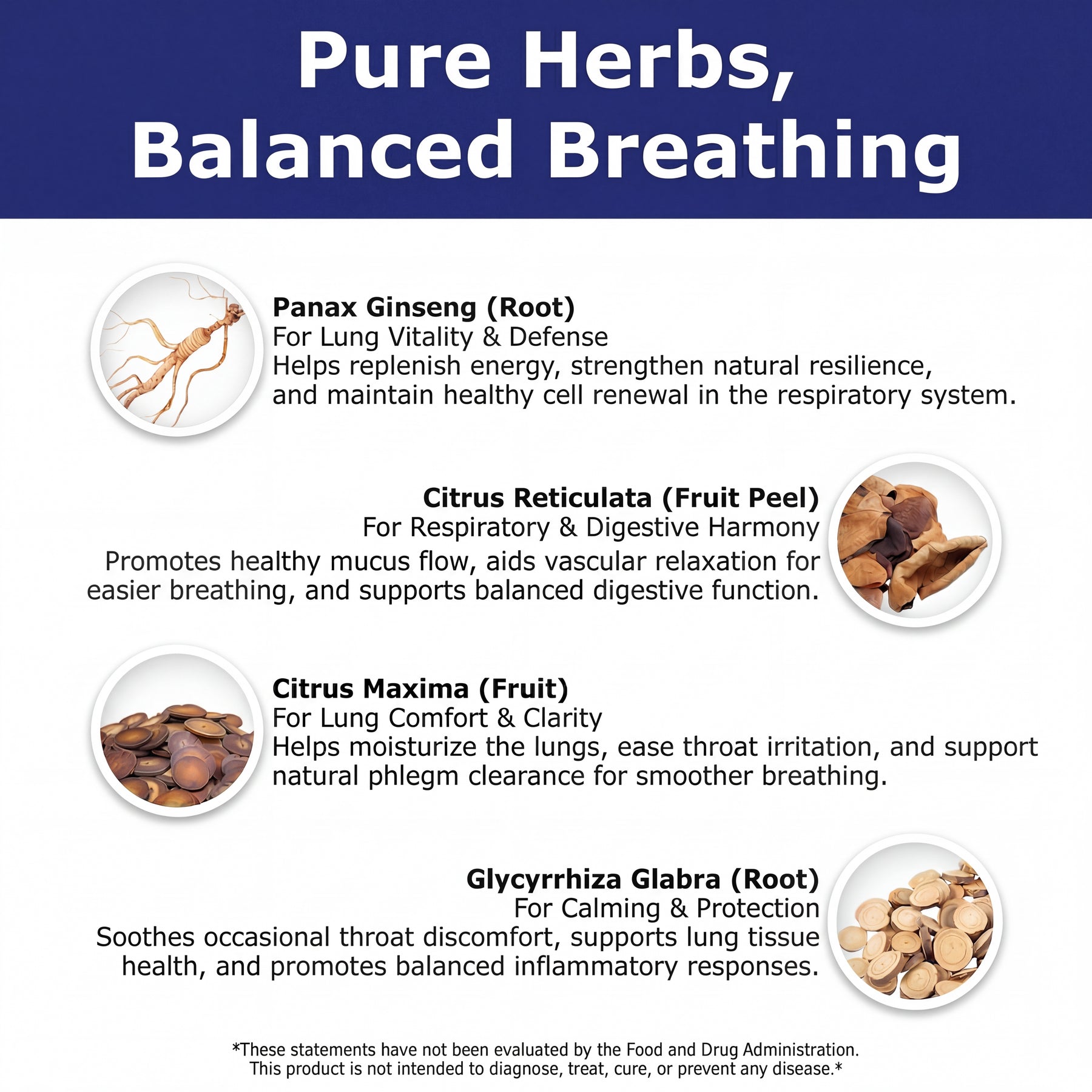 Panax Bloom Premium Lung Health Supplement - Panax Ginseng with Hua Ju Hong & Aged Chen Pi Extract - Daily Respiratory Function & Immune Support for Adults