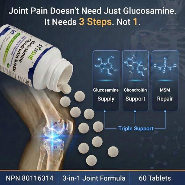 Glucosamine Chondroitin Calcium Tablets for Joint Repair & Bone Health Relieves Knee & Back Pain, Supports Osteoporosis Prevention - 60 Tablets