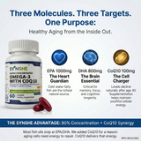 SYNSHE Omega-3 Fish Oil with CoQ10 – 90% Concentration, 1800mg EPA+DHA + 100mg CoQ10 per Serving, Supports Heart Health, Brain Function & Cellular Energy