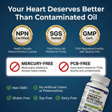 SYNSHE Omega-3 Fish Oil with CoQ10 – 90% Concentration, 1800mg EPA+DHA + 100mg CoQ10 per Serving, Supports Heart Health, Brain Function & Cellular Energy