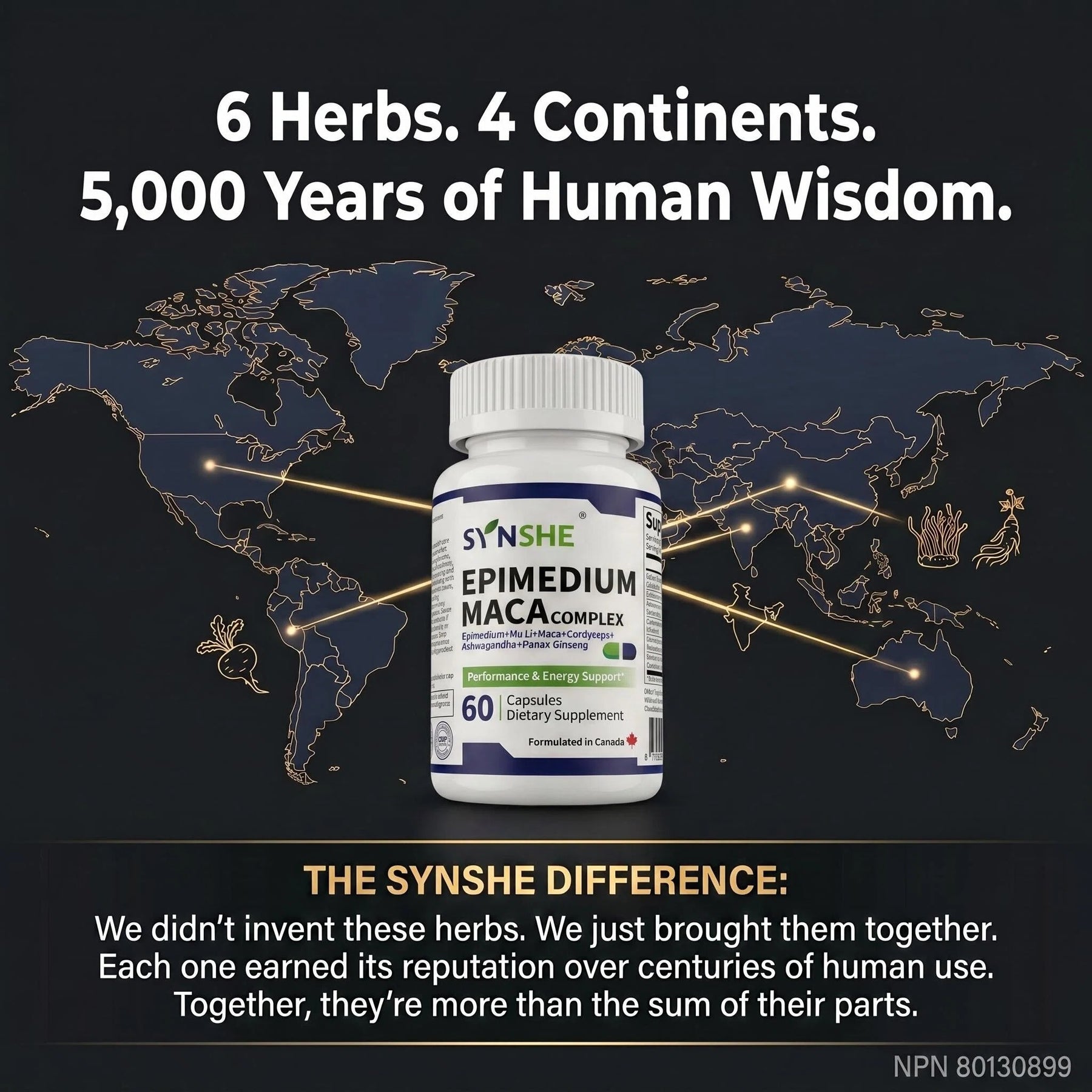 SYNSHE Epimedium Maca Complex — Epimedium & Maca Root for Sustained Energy & Vitality, Zero Caffeine, No Crash | NPN 80130899, 60 Capsules